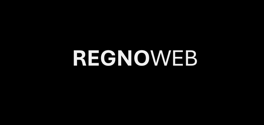 RegnoWeb Business Consulting Services