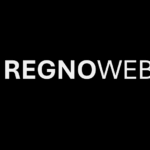 RegnoWeb Business Consulting Services